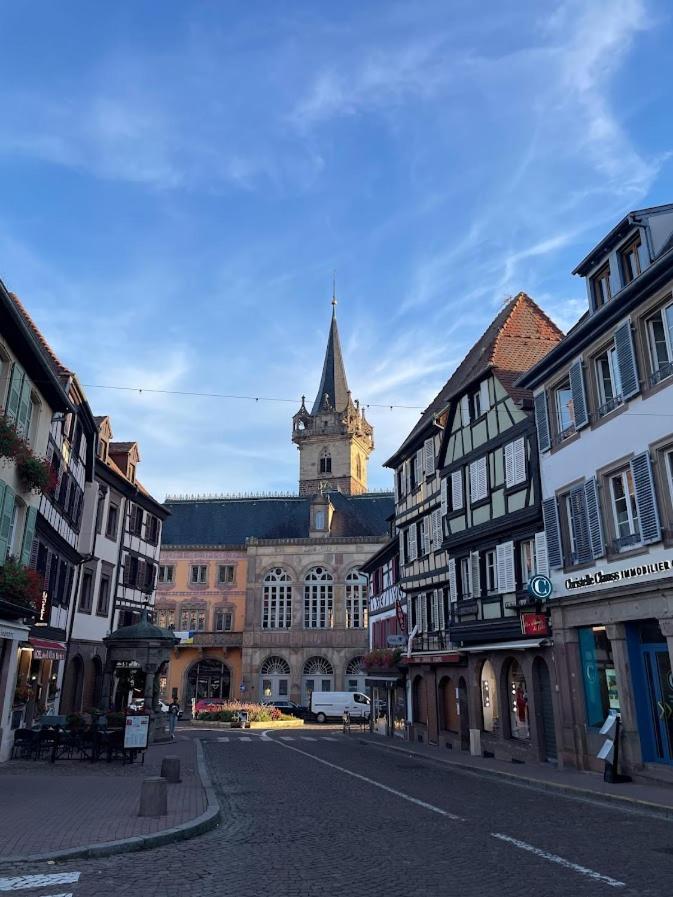 Appartement Le Beffroi Obernai